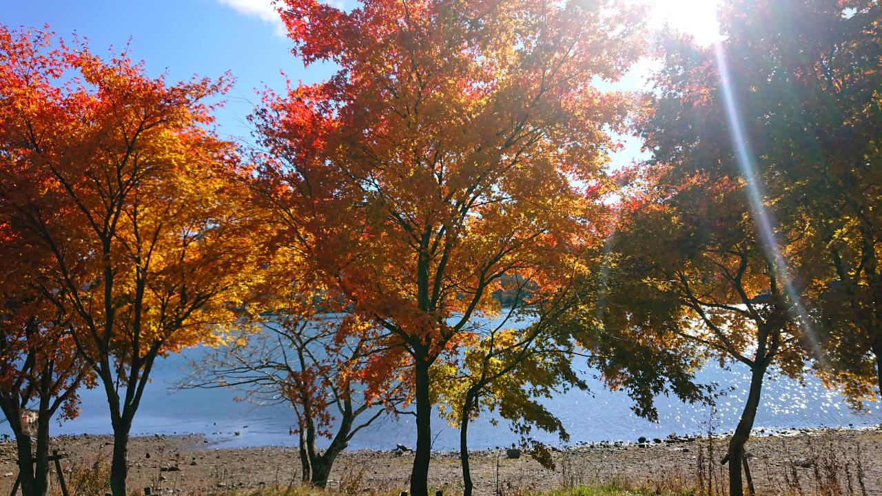 赤城山 紅葉