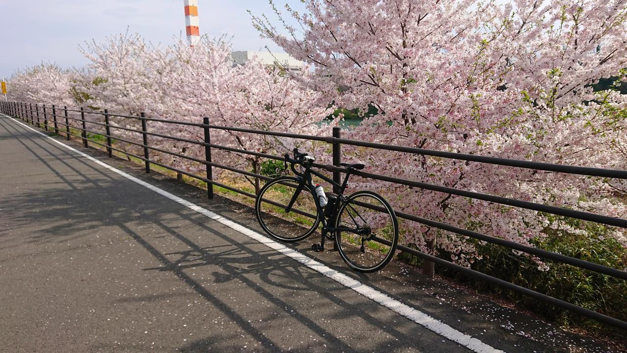 利根川サイクリングロード